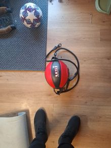 Speed ball