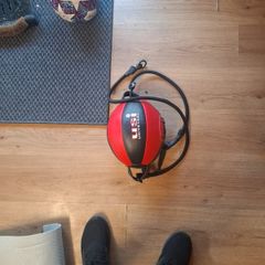 Speed ball