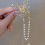 Butterfly tassel hair clip Image 2