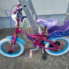 Childs Bike
