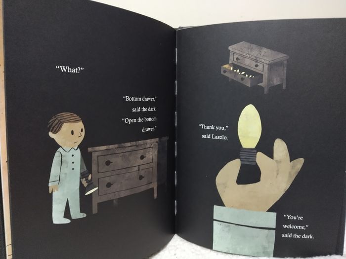 The Dark By Lemony Snicket, Hardback Story Book