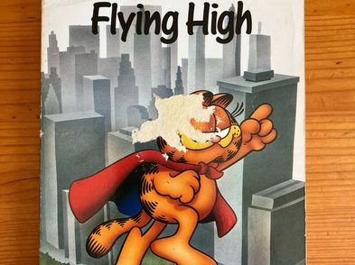 Cartoon Book Garfield Flying High For Sale in New Ross, Wexford from ...