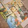 Ireland USA 94 Sticker Collection Book Image 7