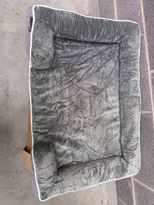 dog bed