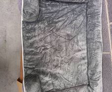 dog bed