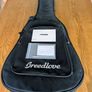 Breedlove Concert Pro guitar.Trade or Cash? Image 7
