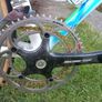 Pinarello Treviso Italia 56cm 10 sp Campy Record Image 10