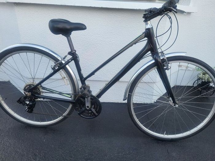 Ladies Hybrid Giant Liv Escape