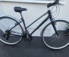 Ladies Hybrid Giant Liv Escape