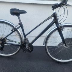 Ladies Hybrid Giant Liv Escape