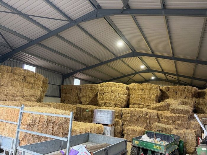 Square Bales Of Premium Quality Hay