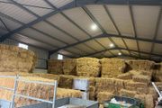 Square Bales Of Premium Quality Hay