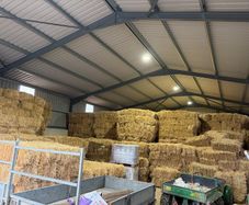 Square Bales Of Premium Quality Hay