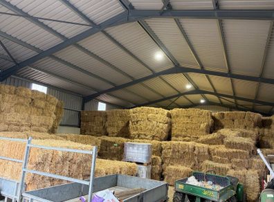 Square Bales Of Premium Quality Hay