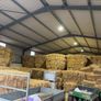 Tested Square Bales Of Premium Quality Hay Image 2