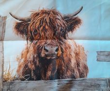 Highland Cow cushion cover