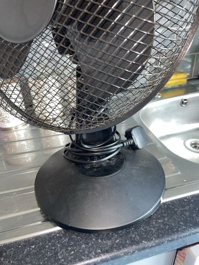 fan