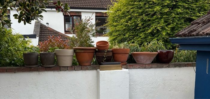 Selection of Flower Pots