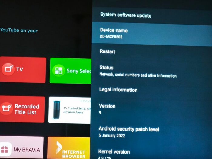 Sony 4K Smart Android TV(65inch)