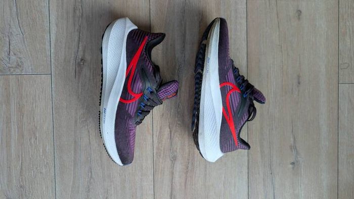 Nike Air Zoom Pegasus