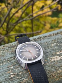 1970s Certina DS Turtle