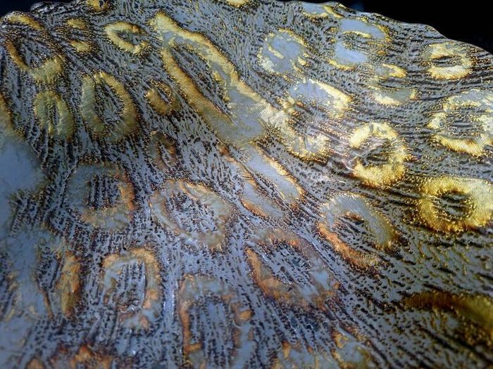 Arda Turkish Glass Centerpiece Bowl