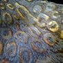Arda Turkish Glass Centerpiece Bowl Image 2
