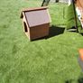 Dog house Image 2