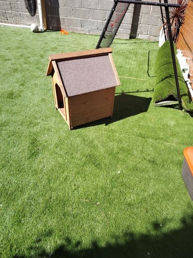 Dog house
