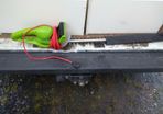 hedge trimmer