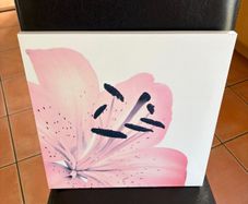 Canvas picture