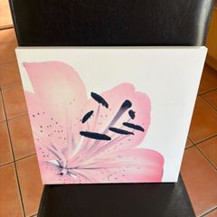 Canvas picture