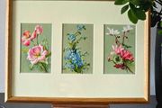 Framed Original Vintage Botanical Postcards