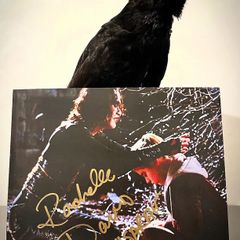 The Crow Rochelle Davis Autograph COA