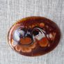 Enamel brooch,Jewellery,Brooch, Image 4