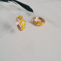 Brand new earrings