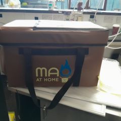 Food delivery bag
