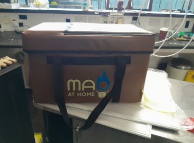 Food delivery bag
