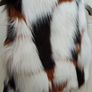 Faux fur gillet 4y Image 3