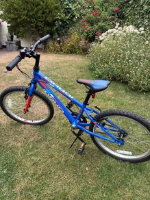 Boys 20" bike