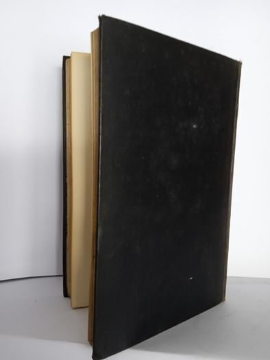 The Kaiser on Trial by George Sylvester Viereck. With Prefatory Notes by James W. Gerard and a Letter from Bernard Shaw (HQ513)
