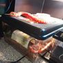Vivarium / Corn Snake starter kits Image 4