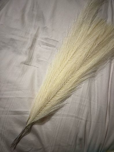 8pcs Feather house deco NEW