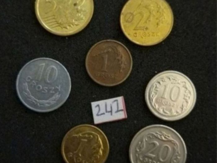 Poland  coins.  (242)