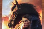Warhorse by Michael Morpurgo