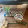 fish tank Image 3