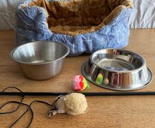 Pre-loved Pet bed + 2 bowls + toys