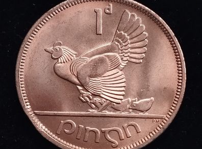 Ireland - 1968 - 1 Penny - Hen with Chicks - KM.11 - [275]