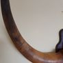 Bison cow large wall mounted horns Image 5