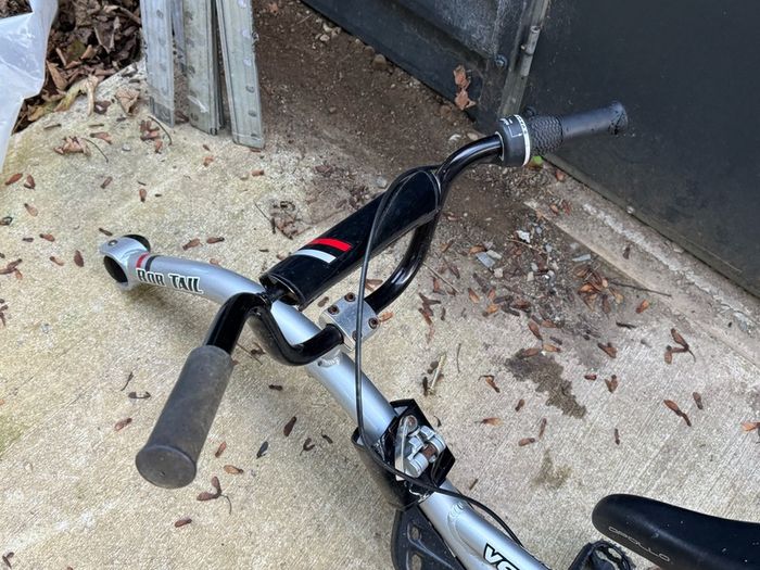 Tagalong Kids Bike